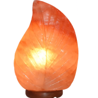 MR-Leaf-Salt-Lamp